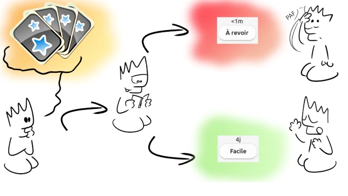 Illustration de Tutoriel Anki